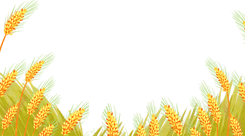 唐山豐南劉賀海:年收入翻兩番 中聯(lián)收獲花生機(jī)帶來(lái)意外之喜 唐山豐南劉賀海:年收入翻兩番 中聯(lián)收獲花生機(jī)帶來(lái)意外之喜 (圖3)