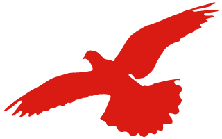 唐山豐南劉賀海:年收入翻兩番 中聯(lián)收獲花生機(jī)帶來(lái)意外之喜 唐山豐南劉賀海:年收入翻兩番 中聯(lián)收獲花生機(jī)帶來(lái)意外之喜 (圖1)