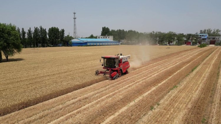 中聯(lián)收獲經(jīng)銷商的堅守:永保服務品質(zhì) 延續(xù)品牌榮耀 中聯(lián)收獲經(jīng)銷商的堅守:永保服務品質(zhì) 延續(xù)品牌榮耀(圖2)