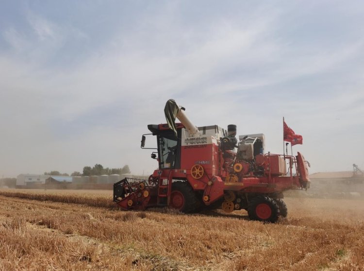 中聯(lián)收獲經(jīng)銷商的堅守:永保服務品質(zhì) 延續(xù)品牌榮耀 中聯(lián)收獲經(jīng)銷商的堅守:永保服務品質(zhì) 延續(xù)品牌榮耀(圖3)