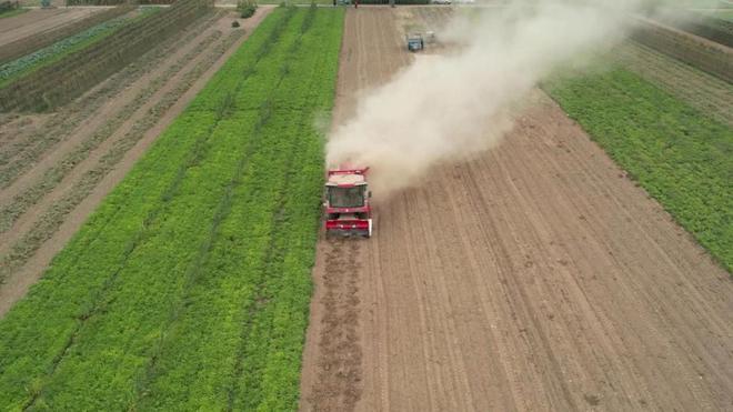 柴海峰:
中聯(lián)收獲花生機(jī) 成績(jī)顯著獲口碑